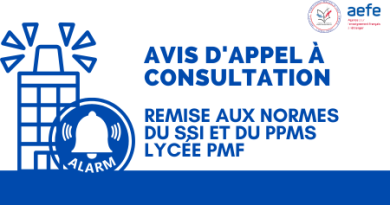 Avis d&rsquo;appel à consultations: Remise aux normes du SSI et du PPMS – Lycée PMF